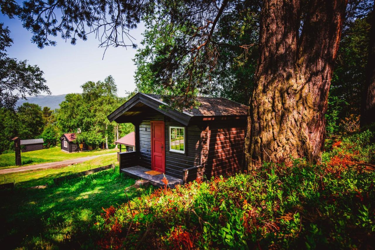 Ljoshaugen Camping Dombås Extérieur photo